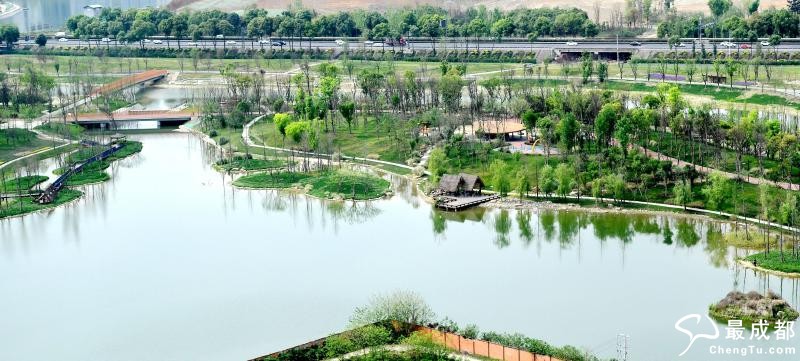【图】成都中和湿地公园