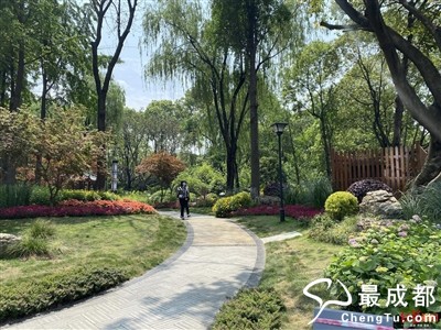 改造提升后的人民公园